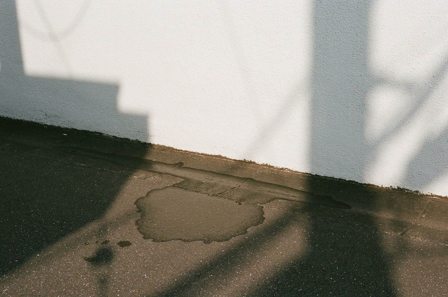 Image alt text