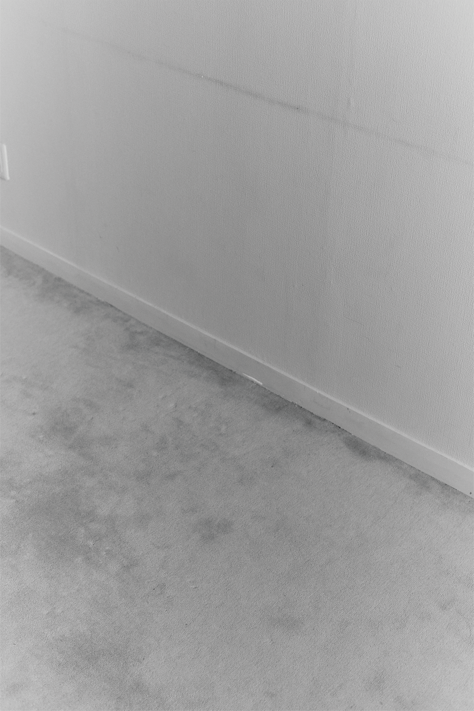 Image alt text