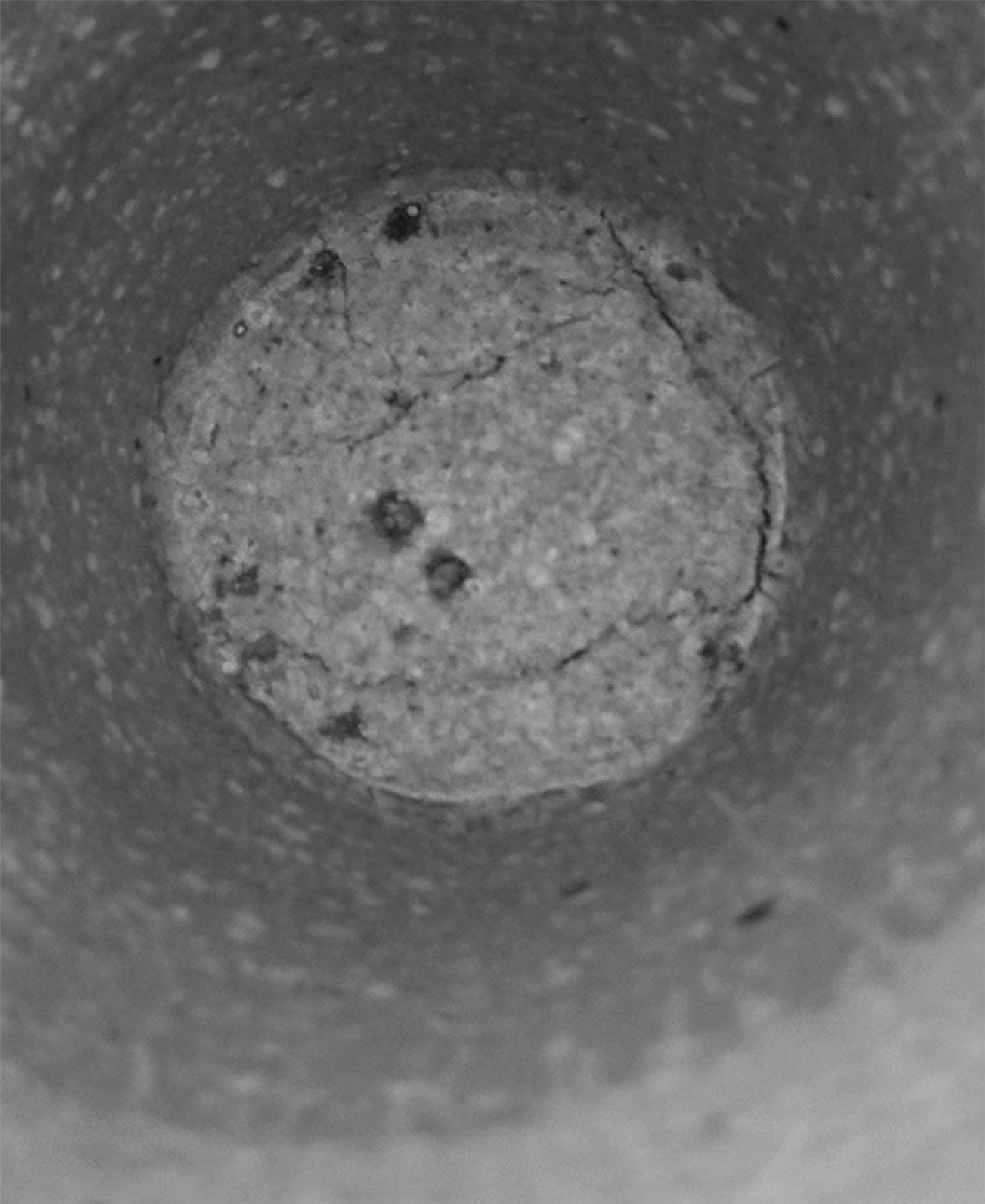 Image alt text