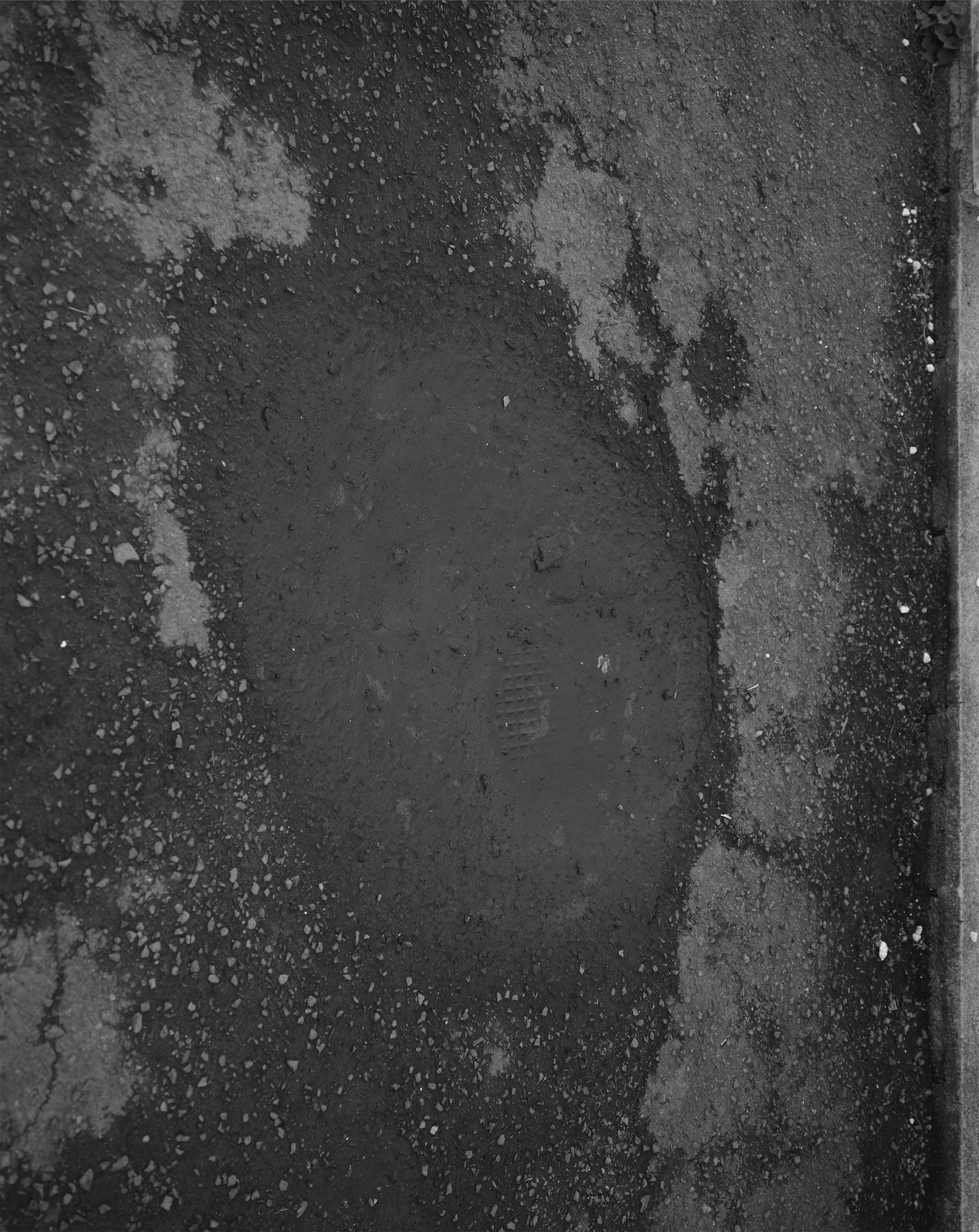 Image alt text