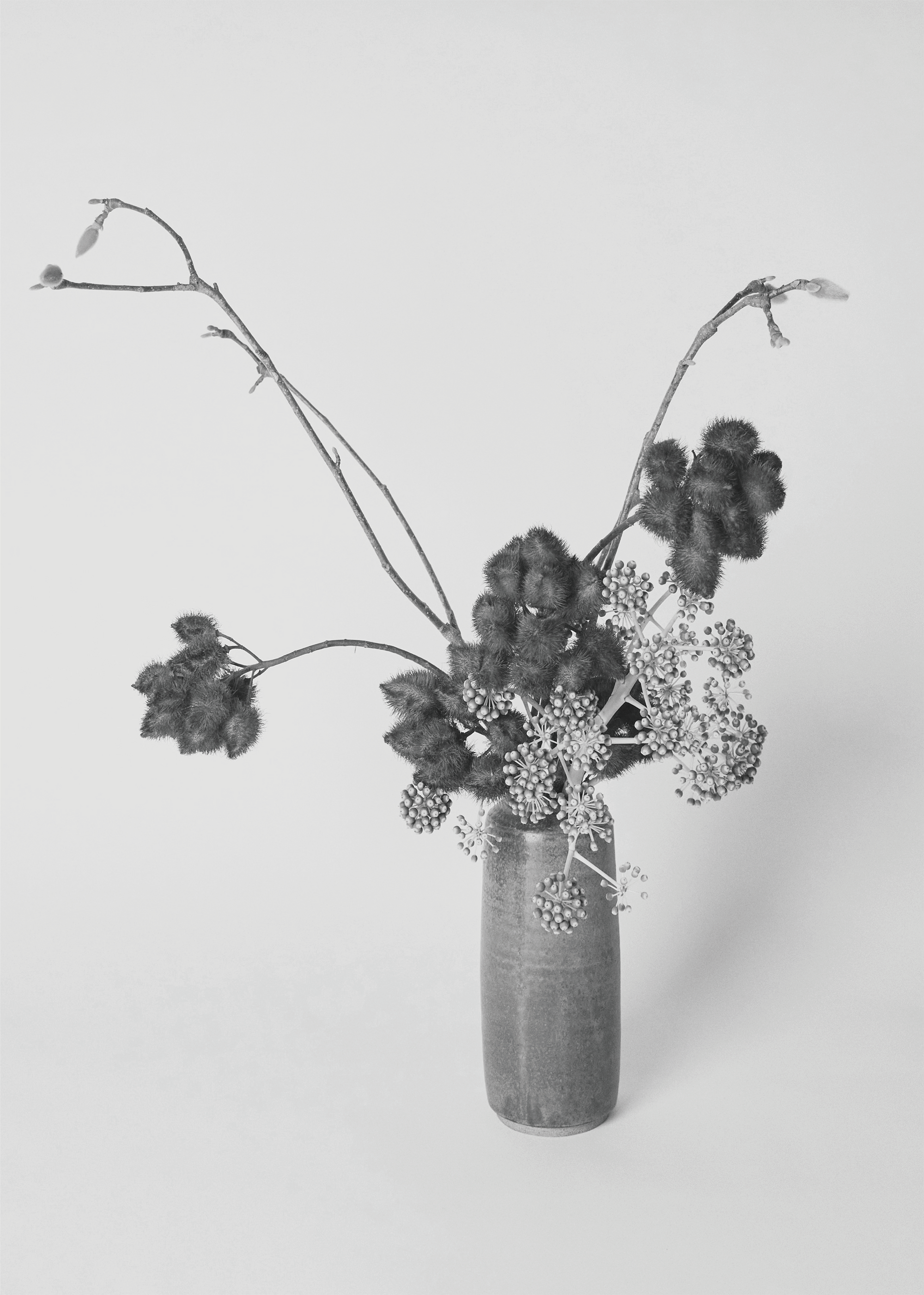 Image alt text